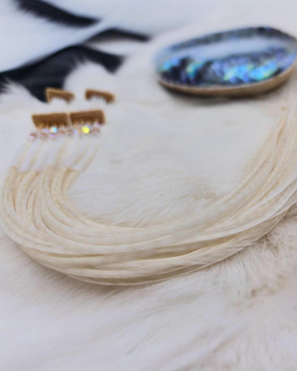 Dentalium Feather earrings