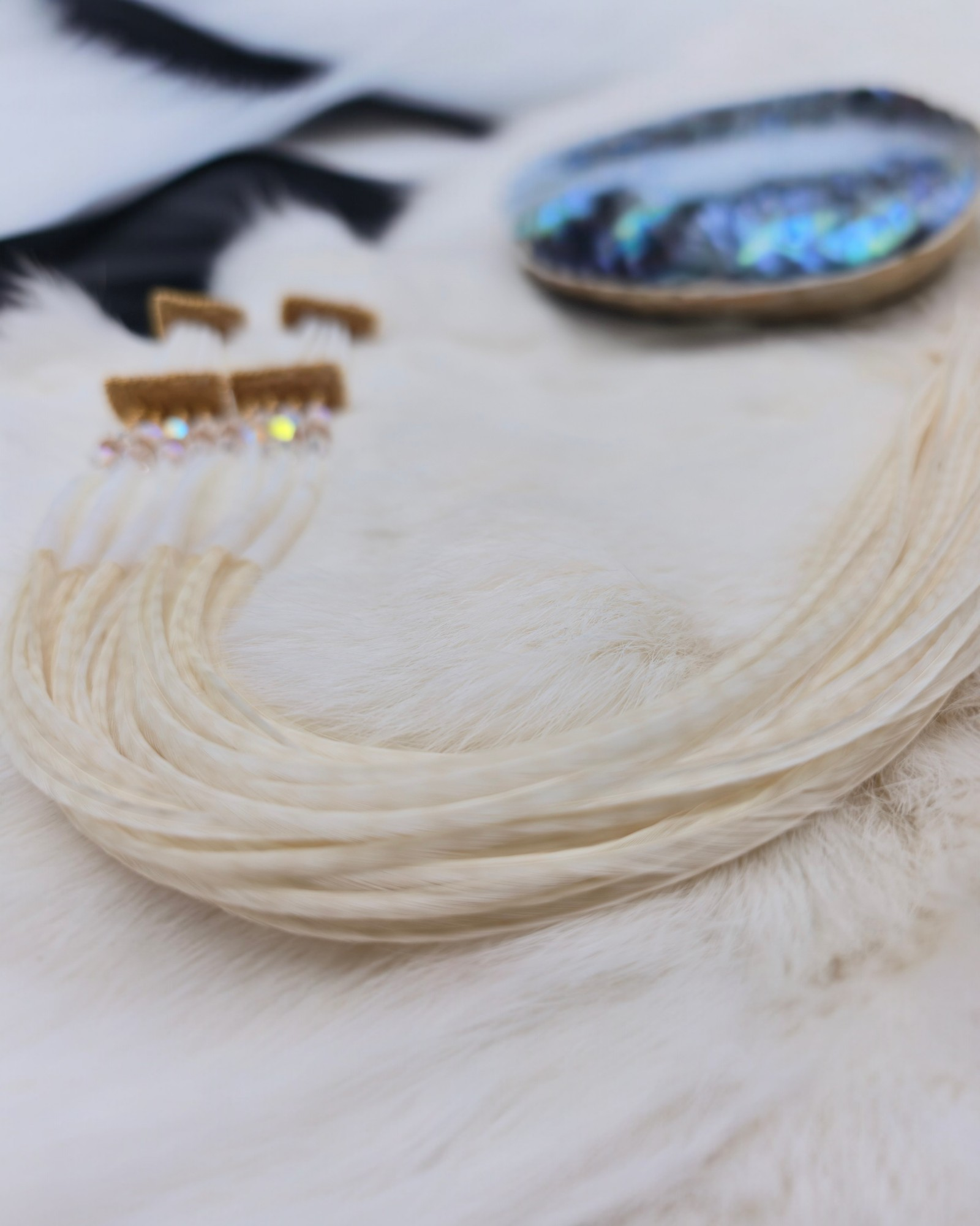 Dentalium Feather earrings